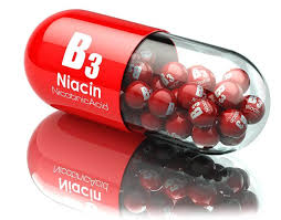 Niasin B3 vitamini