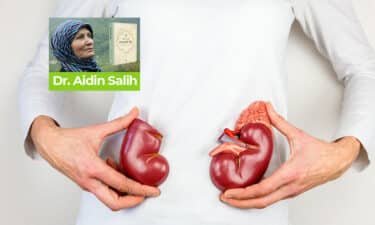 Böbrek ve Mesane Temizliği Nasıl Yapılır? Taş ve Kireç Çözen Doğal İlaçlar