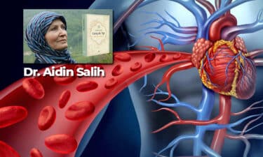 Kan ve Damar Temizliği Nasıl Yapılır? Hangi Hastalıklarda Yapılmalıdır