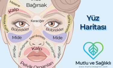 Yüz Haritası Nedir? Cildiniz Size Sağlık Sorunları Hakkında Ne Anlatıyor?