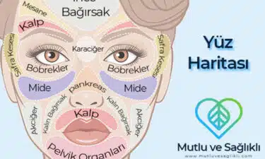 Yüz Haritası Nedir? Cildiniz Size Sağlık Sorunları Hakkında Ne Anlatıyor?