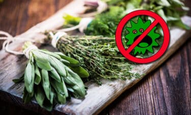 Bağışıklık Sistemini Güçlendiren Enfeksiyonla Savaşan Antiviral Bitkiler